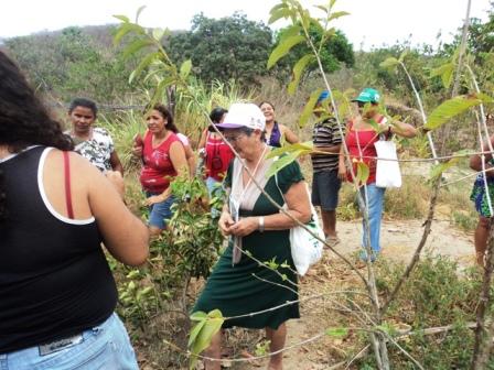 Mulher Rural: Organização e Produção Agroecológica